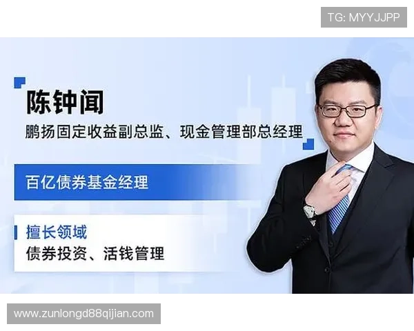 尊龙现金一下指导AG发财网的优势与投资策略全面解析 尊龙现金一下指导AG发财网的优势与投资策略全面解析