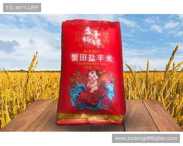 尊龙凯时平台免费版：免费版平台的功能特色与升级更新内容介绍