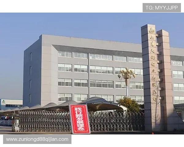 尊龙时凯中国集团：科技创新驱动企业转型升级的成功案例