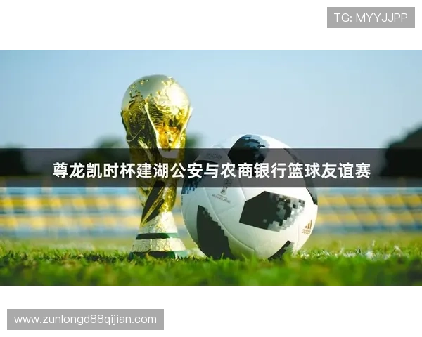 尊龙凯时手机版会员登录指南帮助玩家快速安全进入游戏账号