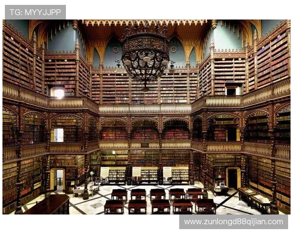 选择尊龙d88官网登录下载的理由与用户推荐